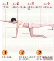 瑜伽動作-虎式變體