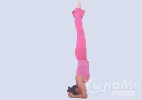 瑜伽體式-蠍子第一式