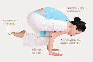 瑜伽體式-袋鼠式