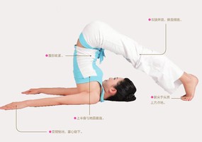 瑜伽體式-犁式