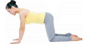 美麗功效貓變式