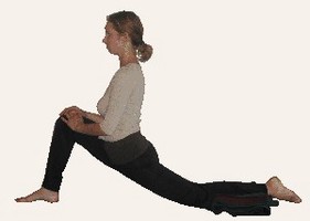 瑜伽體式-低飛龍式