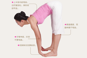 瑜伽體式-簡易鏟斗式