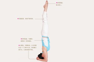 瑜伽體式-頭倒立式