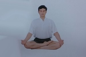 印度瑜伽排毒養顏瑜伽—經絡清潔法