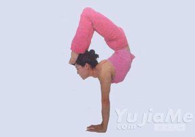 瑜伽體式-蠍子第二式