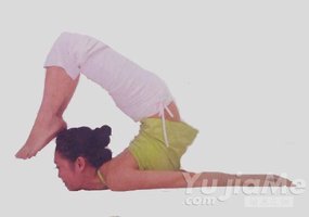 瑜伽體式-反蝗蟲式變化式二