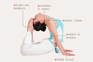 瑜伽體式-蛇王式