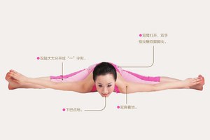 瑜伽體式-全蝙蝠式