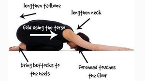 英文版詳細的瑜伽體式剖析