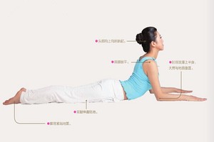 瑜伽體式-人面獅身式