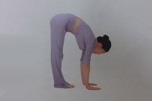 印度瑜伽排毒養顏瑜伽—下犬式