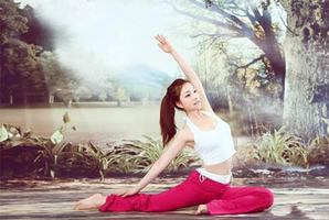 瑜伽教學的手段