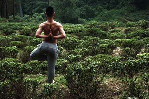 讓你了解什麼叫瑜珈與復健