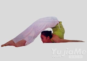 瑜伽體式-反蝗蟲式