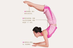 瑜伽體式-蠍子式