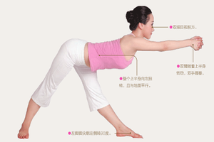 瑜伽體式-乾坤扭轉式