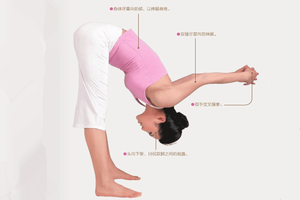 瑜伽體式-雙角式