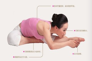 瑜伽體式-單腿背部伸展式（坐姿前屈伸展式）