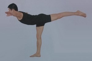 瑜伽體式-燕子式