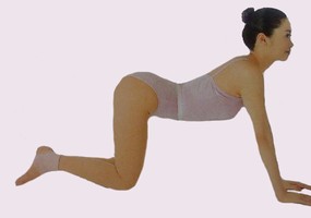 《美人瑜伽》保護膝蓋貓伸懶腰式