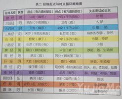 瑜伽百科-經絡瑜伽
