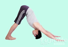 男人減壓：預防肺炎的瑜伽體式