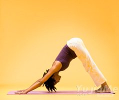 12個瑜伽姿勢紓解辦公室久坐疲勞