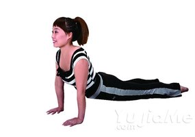 上犬式和下犬式的區別你真的了解嗎？