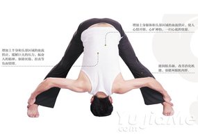 男人減壓：克服厭倦情緒的瑜伽體式