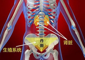 練習瑜伽，會讓生理期不規律？