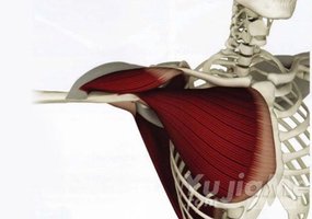 教你瑜伽拉伸消除肩周和腕關節疼痛