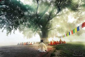 瑜伽疾病康復篇-各種急、慢性疾病