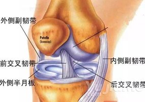 5分鐘6個瑜伽動作，預防膝蓋受傷