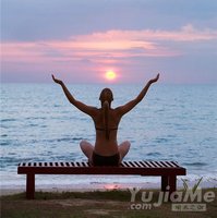 樹式的四個練習要點及輔助練習動作