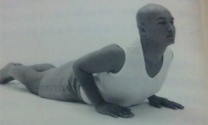 瑜伽百科-眼鏡蛇式（Bhujangans）