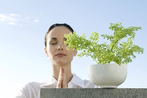 瑜伽中的Vinyasa是什麼意思？