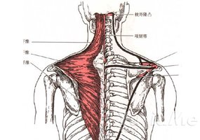 瑜伽理療課堂-頸椎病調理