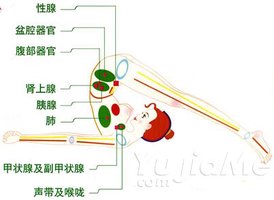 9組很棒的瑜伽體位法講解圖