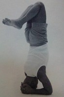 瑜伽百科-頭倒立（第二階段）