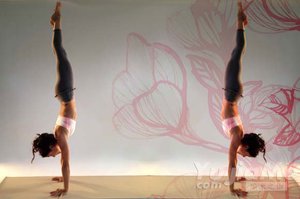 瑜伽基本體位之六：手腳支撐式和倒立