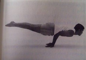 瑜伽百科-孔雀式(Mayurasans)