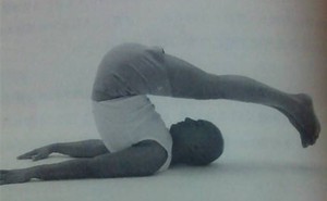 瑜伽百科-犁式（Halans)