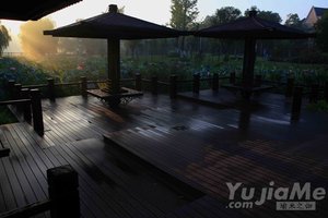 瑜伽疾病康復篇-免疫系統