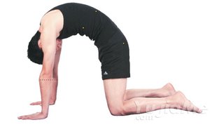 男人減壓：鍛鍊臀部的瑜伽體式