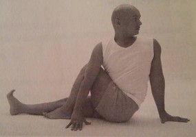 瑜伽百科-脊柱扭轉式(Vakrans)